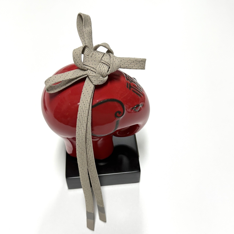 Simple Solid - Color Shoelace Webbing