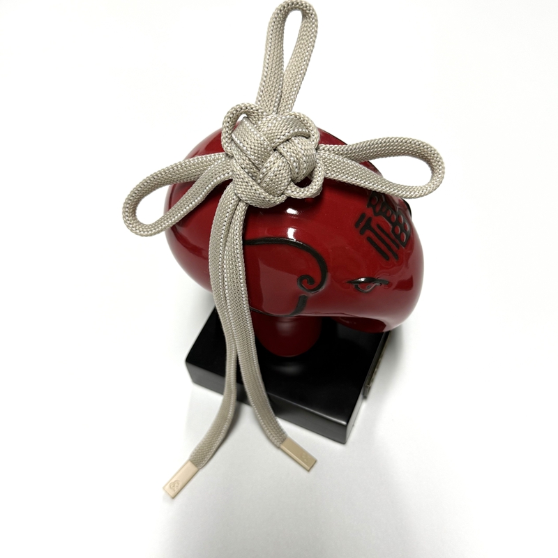 Simple Solid - Color Shoelace Webbing